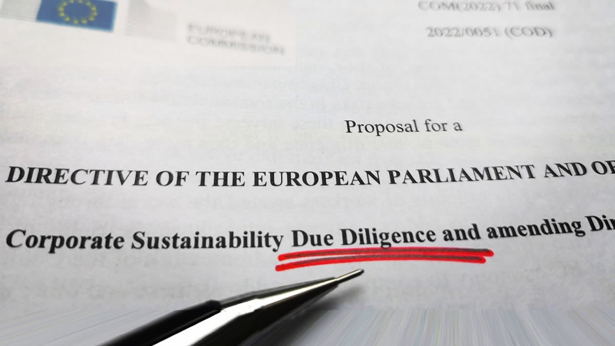 Proposed due diligence legislation must be strengthened